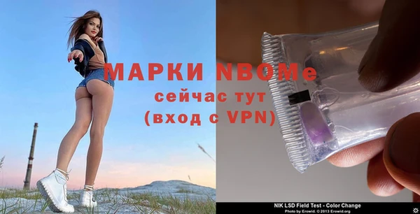 индика Вязники