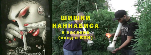 хмурый Белая Холуница