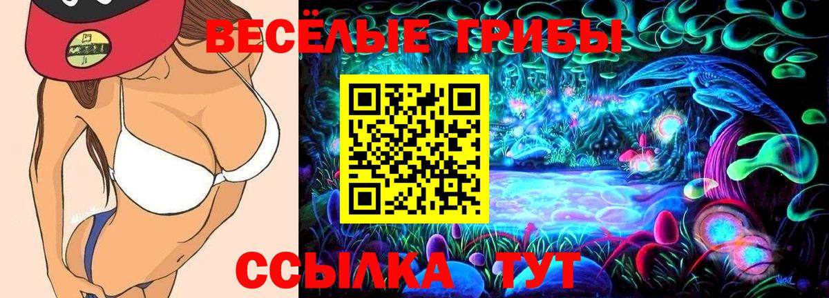 Галлюциногенные грибы MAGIC MUSHROOMS  Вход с VPN  Канск 