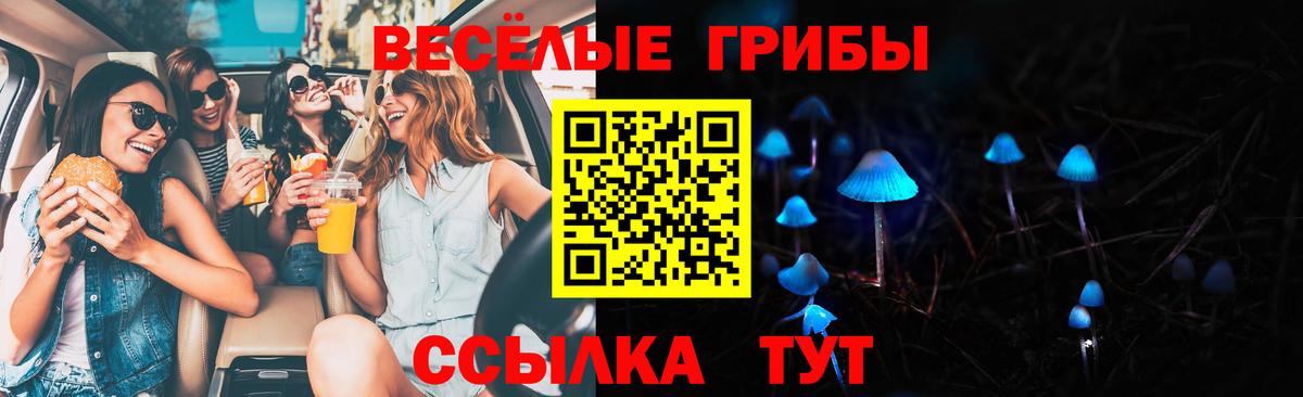 Псилоцибиновые грибы прущие грибы Канск